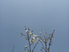 -东钱湖旅游度假区