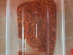-干老庆贵州留一手烤鱼·地摊火锅(财经大学店)
