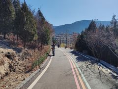 -佛慧山