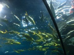 -福州罗源湾海洋世界旅游区