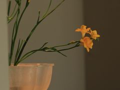 -见山茶事(丽水路店)