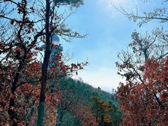 -沈阳辉山风景区