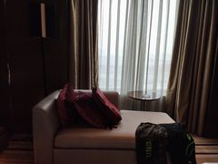 -扬州绿地铂骊酒店