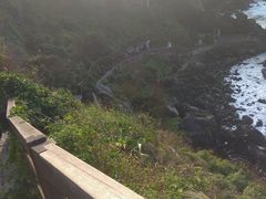 -龙头岩(Dragon Head Rock)