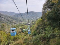 -野象谷景区