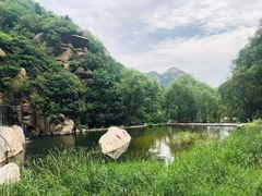 -碓臼峪自然风景区