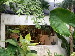 -自由生长植物工作室(深港花卉中心店)