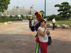 -环球动漫嬉戏谷