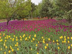 -长春公园(普阳街道)