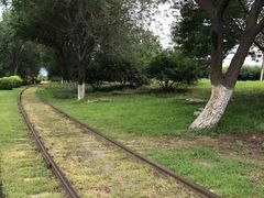 -永定河休闲森林公园