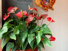 -四海酒家生态粤菜