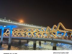 -演武大桥观景平台