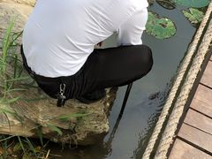 -茯茶镇