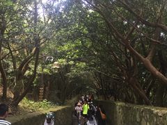 -普陀山风景区-佛顶山