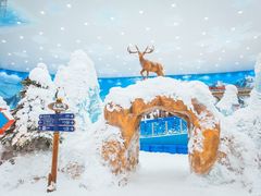 -长沙湘江冰雪世界