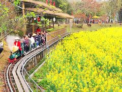 -红山村