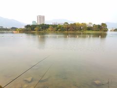 -飞来湖湿地公园
