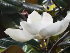 -金堂县云顶石城风景区