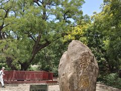 -北京西山国家森林公园