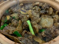 -广宁炭炉鸡煲·富临门饭店