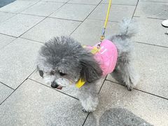 -中粮·祥云小镇