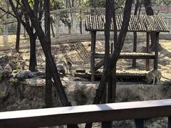 -石家庄市动物园