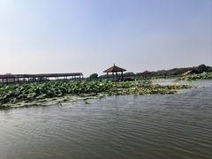-白洋淀景区