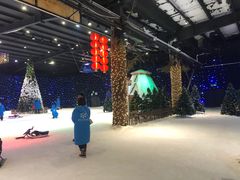 -宁波冰雪大世界(北仑区)