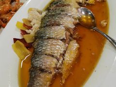 清蒸鲥鱼-老洋房花园饭店(绍兴路店)