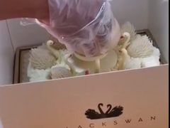 -BLACKSWAN黑天鹅(环球店)