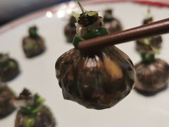 -子福慧(虹桥店)