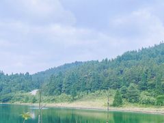 -武陵山森林公园