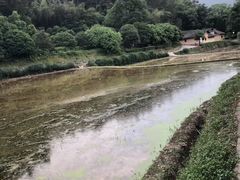 -韶山毛泽东同志故居