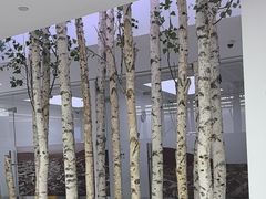 -极简口腔(总院)