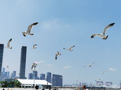 -东港音乐喷泉广场