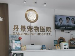 -丹景宠物医院·全科·老年病·牙科(武昌诊疗中心)