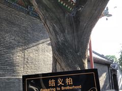 -关林