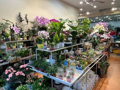 -双季花艺园艺市场(浦东店)