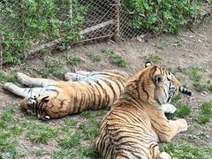 -哈尔滨北方森林动物园