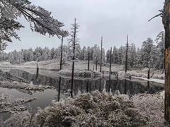 -瓦屋山景区