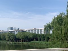 -大兴滨河森林公园