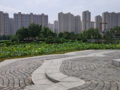 -木塔寺遗址生态公园