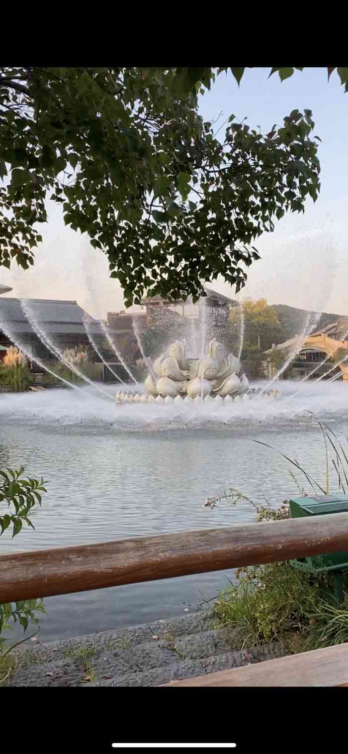 4人赞cindyyoung2022年9月7日打分94一花一世界的