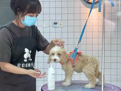 -贝贝宠物乐园(常青花园店)