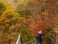 -明堂山风景区