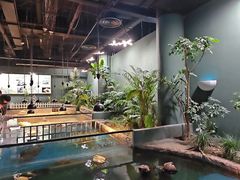 -上海大自然野生昆虫馆(东方明珠·爬宠昆虫探索中心)