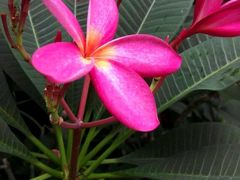 -三亚珠江南田温泉度假区