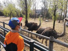 -大连森林动物园