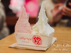 -野人先生Gelato(上海长宁龙之梦店)