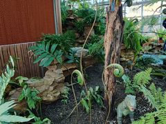 -国家植物园南园